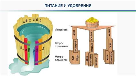 Негативные факторы, влияющие на урожайность скота