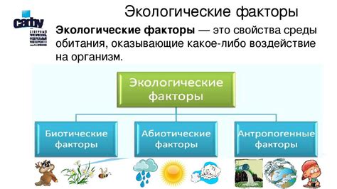 Недооцененные факторы окружающей среды