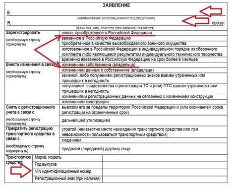 Необходимые сведения для успешной регистрации