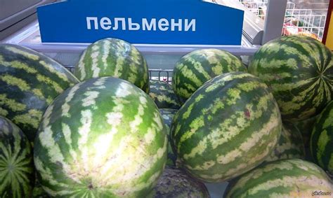 Новые вкусовые открытия: прекрасные альтернативы арбузам в последующей сезонной периоде