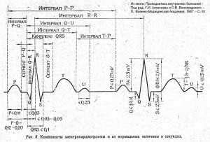 Нормальные и аномальные показатели сердечного ритма