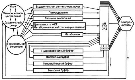 Нуждаемость адекватного сна для поддержания оптимального уровня ингибина у мужского организма