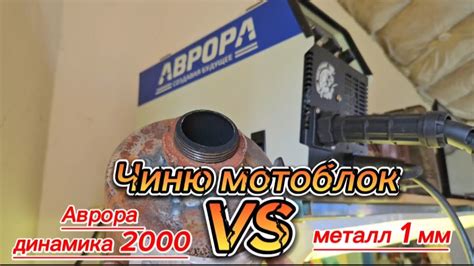 Обзор популярной полуавтоматической винтовки Аврора Динамика 2000