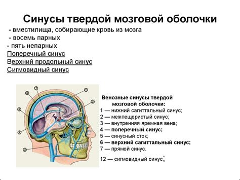 Обзор состояния головного мозга