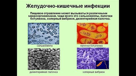 Образование черных пятен в кишечных массах: причины и источники