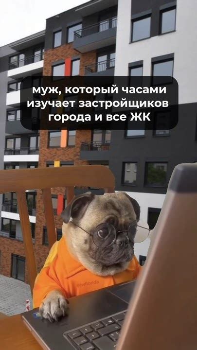 Обратитесь к эксперту