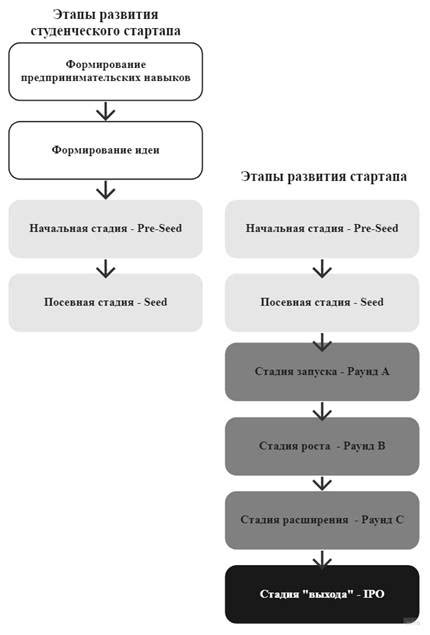 Обучение кота использовать лоток: ключевые этапы и методы, способствующие успешному процессу