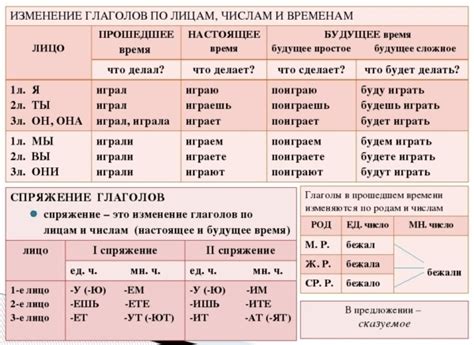 Овладейте точными временами глаголов для эффективного выражения мыслей