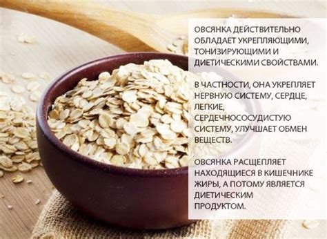 Овсяные хлопья: ценные свойства и растущий спрос на продукцию