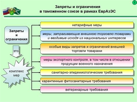 Ограничения и запреты, возлагаемые компанией-разработчиком