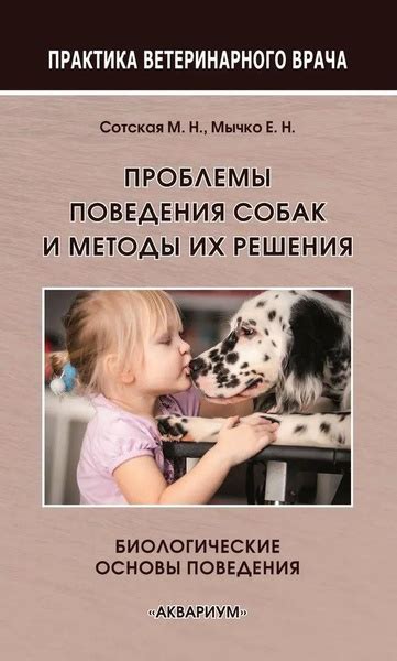 Окончание проблемы громкого поведения собак соседей: роль правового аспекта