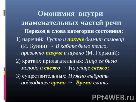 Омонимия и ее воздействие на точность передачи значения слова