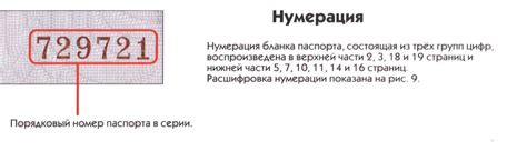 Описание информации, содержащейся в Уникальном Идентификационном Номере (УИН)