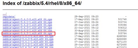 Определение версии агента Zabbix - простые способы точного определения