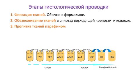 Определение гистологии и биопсии