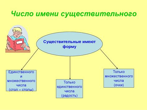 Определение концепции единственного и множественного числа