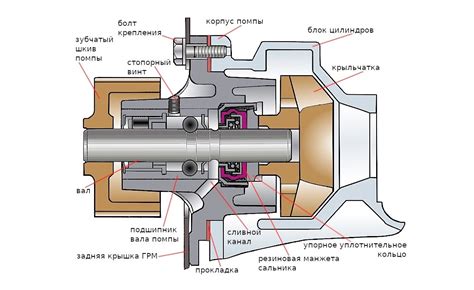 Определение места установки насоса: с учетом требований и особенностей