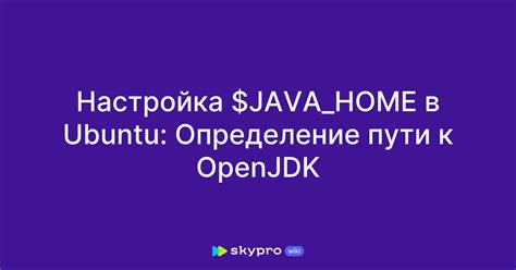 Определение настройки пути системы на Ubuntu