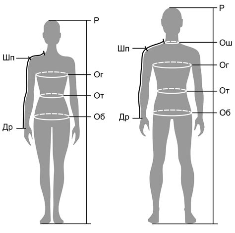 Определение размеров тела: необходимые замеры для создания индивидуального шаблона