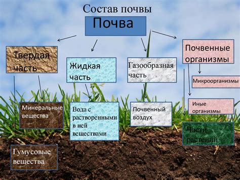 Определение состава органического вещества в почве: разнообразные методы и подходы