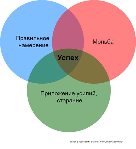 Определительность Розничной торговли от 1С: эксклюзивные факторы успеха