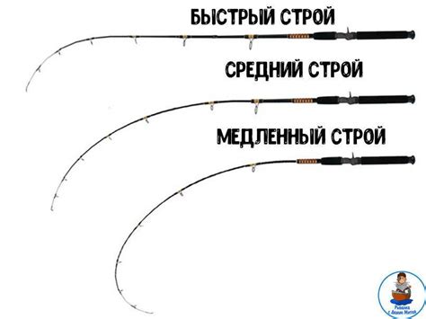 Оптимальная длина и мощность фидера: правила выбора