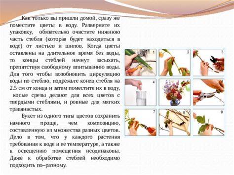 Оптимальное обрезание стеблей цветов: правила и рекомендации