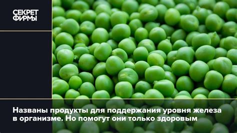 Оптимальное питание для поддержания нормального уровня железа в организме