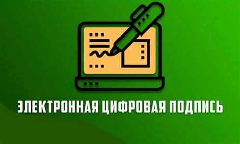 Оптический терминал: принцип работы и области применения