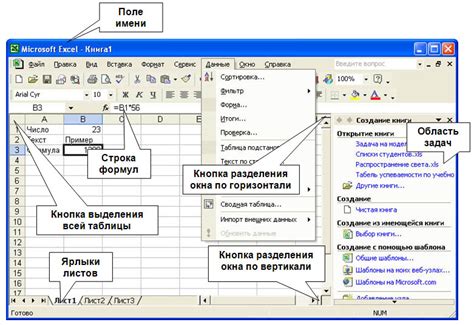 Организация данных на листе программы для электронных таблиц