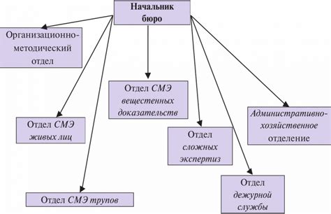 Организация и структура клана: основы сотрудничества и иерархии