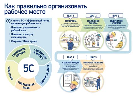 Организация рабочего пространства: от директории до рабочего места