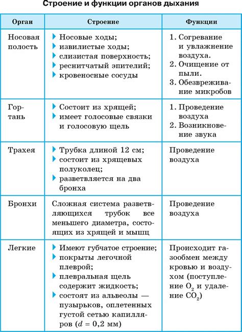 Органы вульварного комплекса: особенности и функции