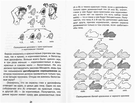 Осветление механизмов генетики: расхождение на загадки жизненных процессов