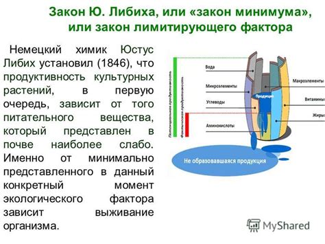 Ослабление защитных функций организма из-за недостатка жидкости