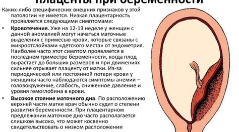 Осложнения и негативные последствия детакции плаценты влияют на патологическое развитие эмбриона