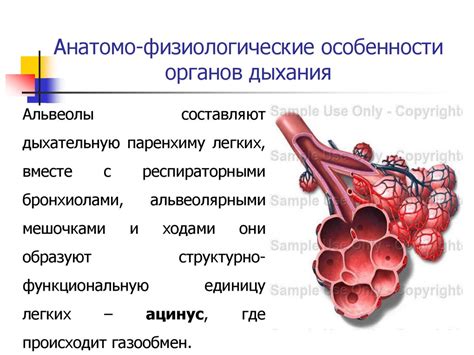 Осложнения при определенных заболеваниях дыхательной системы