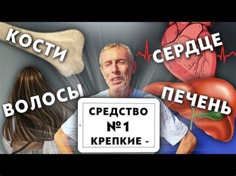 Основание для крепких костей и здорового сердца