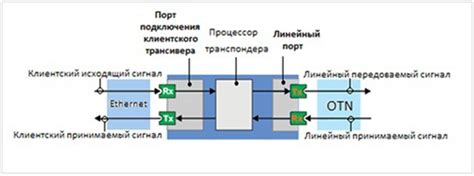 Основные компоненты важного устройства оптического терминала