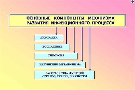 Основные компоненты механизма пуговичной системы