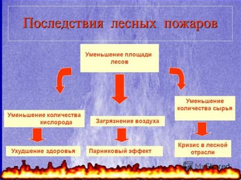 Основные меры для предотвращения возникновения карминового пятна на органе зрения