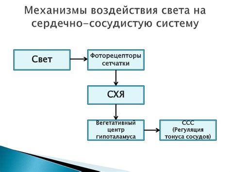 Основные методы воздействия на сердечно-сосудистую систему и их эффективность