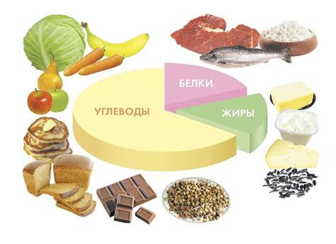 Основные питательные элементы, которые утрачивает организм при нарушении пищеварения