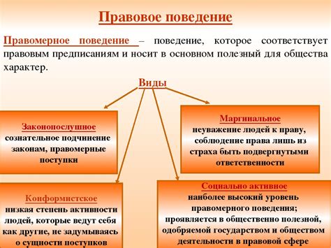 Основные понятия и классификации субъектов в обществе