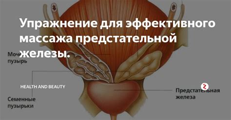 Основные преимущества и эффекты использования устройства для массажа предстательной железы