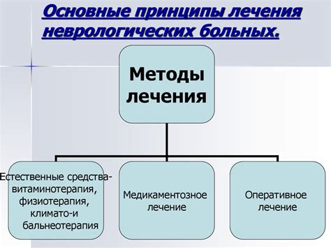 Основные принципы и особенности ухода за зеленым уголком на подоконнике