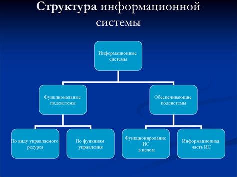 Основные принципы и функции информационной системы