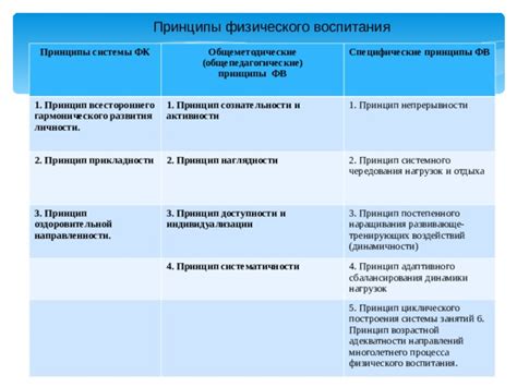 Основные принципы организации подготовительной работы в коллективе физического развития