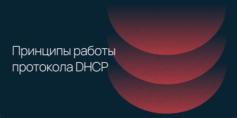 Основные принципы работы протокола HTTP