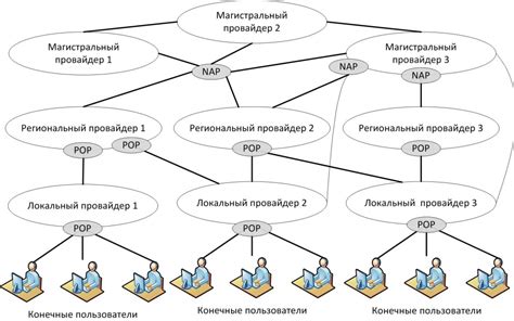 Основные принципы функционирования сети передачи сущности